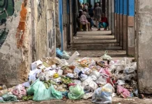 El virus chikungunya alarma a Cuba y supera los 20.000 casos