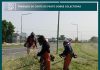 Trabajos de corte de pasto sobre colectoras