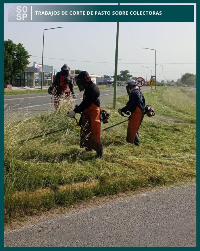 WhatsApp Image 2025-11-19 at 10.10.54 (1)