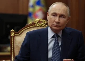 Rusia prueba palomas espía con implantes cerebrales para tareas de vigilancia