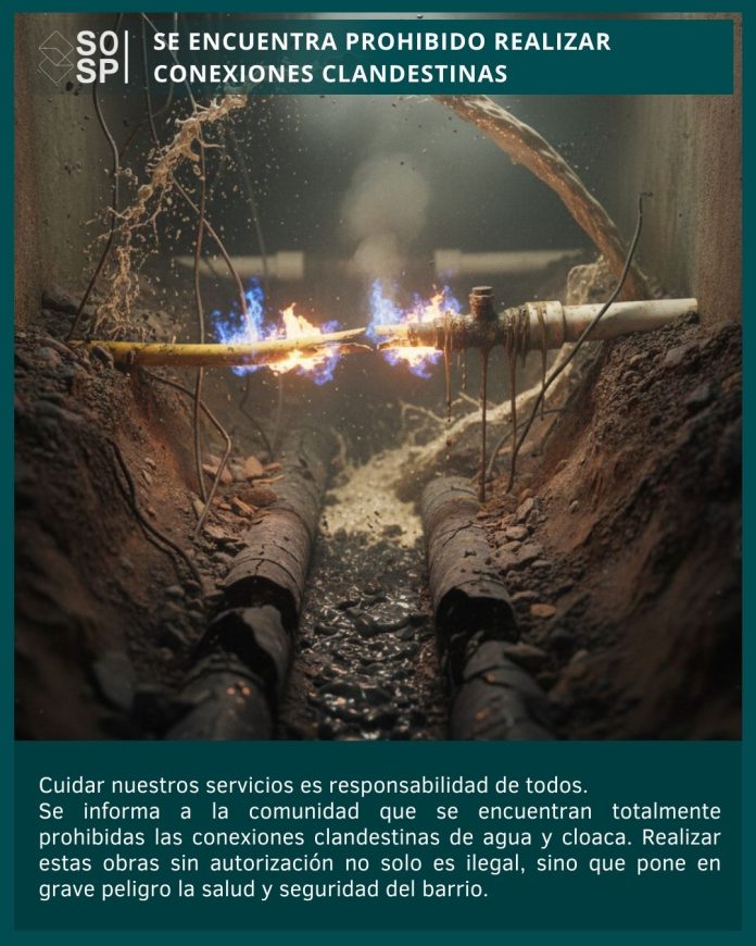 WhatsApp Image 2026-01-07 at 08.56.07