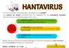 Hantavirus: El mejor remedio es la prevención