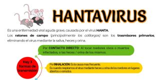 Hantavirus: El mejor remedio es la prevención
