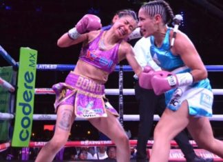 Saladillo en el más alto nivel del box mundial