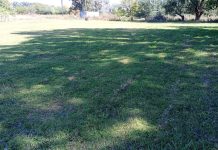 Acondicionamiento de un predio de Saladillo Norte