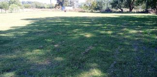 Acondicionamiento de un predio de Saladillo Norte