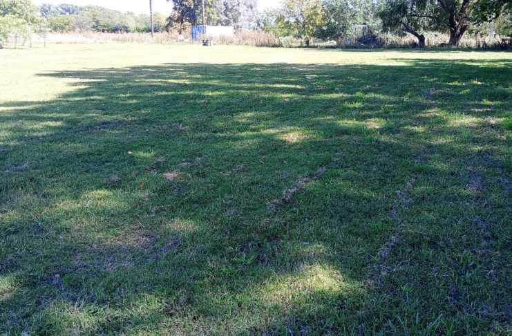 Acondicionamiento de un predio de Saladillo Norte