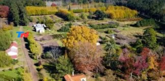 Cazón en la pantalla de Todo Noticias