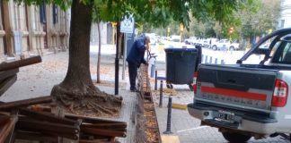 Trabajos de limpieza y acondicionamiento