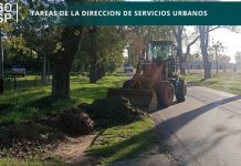 Tareas de la dirección de servicio urbanos