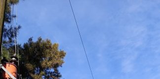 Poda privada provocó la salida del servicio en Del Carril y sus inmediaciones