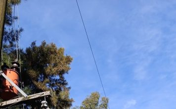 Poda privada provocó la salida del servicio en Del Carril y sus inmediaciones