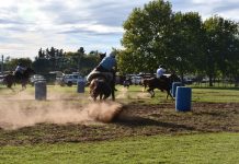 Tradición y arraigo: se celebró la 4ta Fiesta del Alumno Rural en Saladillo