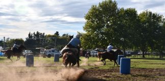 Tradición y arraigo: se celebró la 4ta Fiesta del Alumno Rural en Saladillo