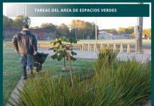 Avanzan tareas de mantenimiento en espacios verdes de Saladillo