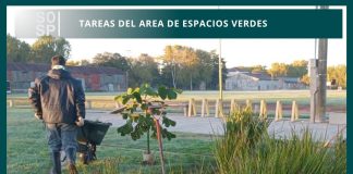 Avanzan tareas de mantenimiento en espacios verdes de Saladillo