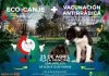 Eco-canje y vacunación antirrábica en Saladillo