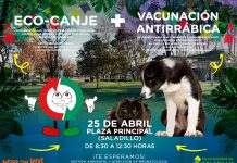 Eco-canje y vacunación antirrábica en Saladillo