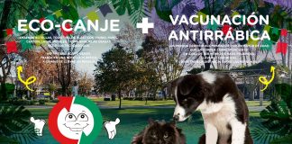 Eco-canje y vacunación antirrábica en Saladillo