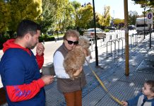 Nueva jornada de vacunación antirrábica en Saladillo