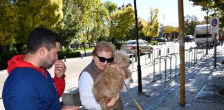 Nueva jornada de vacunación antirrábica en Saladillo