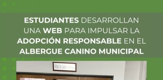 Estudiantes desarrollan una web para promover la adopción responsable en Saladillo