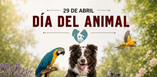 29 de abril – Día del Animal