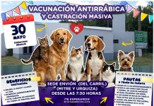 Castración masiva y vacunación antirrabica de mascotas
