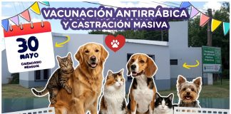 Castración masiva y vacunación antirrabica de mascotas