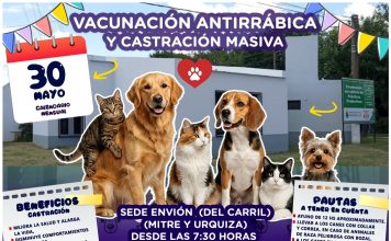 Castración masiva y vacunación antirrabica de mascotas