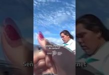 Peligro en Ruta 11: manejaba a contramano y sin licencia y fue detenido en un operativo vial