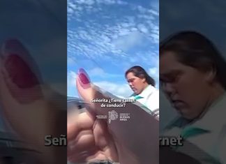 Peligro en Ruta 11: manejaba a contramano y sin licencia y fue detenido en un operativo vial