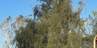 3 mujeres que transformaron el dolor en un proyecto que le dio vida a Los Alamos