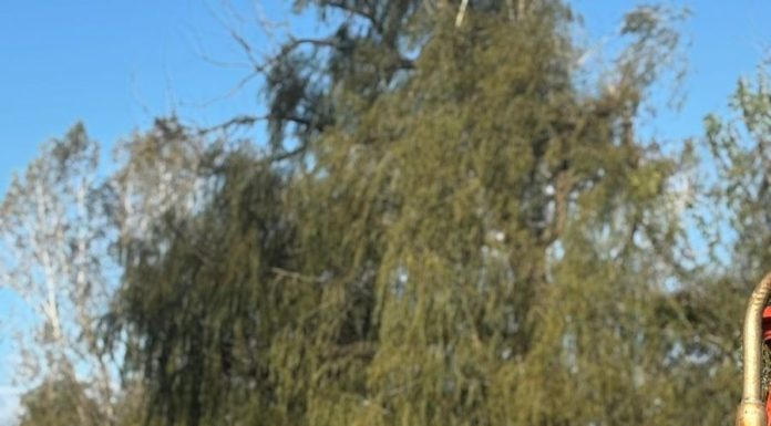 3 mujeres que transformaron el dolor en un proyecto que le dio vida a Los Alamos