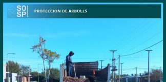 Protección de árboles