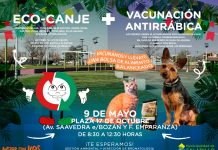 Eco canje + vacunación antirrábica