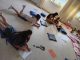 LITETARTE / Nuevo encuentro del Taller en Cooparte para jugar, explorar y crear.