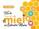 8° edición de la fiesta de la miel en Salvador María