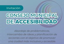 Consejo municipal de accesibilidad