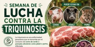 Semana de la lucha contra la triquinosis