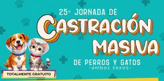 Decima quinta jornada de castración masiva