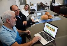 «Saladillo cuida»: Una aplicación para la adopción de mascotas