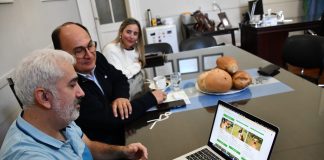 «Saladillo cuida»: Una aplicación para la adopción de mascotas