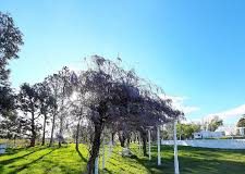 Mantenimiento de espacios verdes