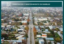Trabajos de forestación y mantenimiento en la rambla del barrio Falucho