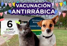 Jornada de vacunación antirrábica en Álvarez de Toledo