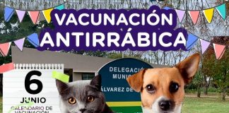 Jornada de vacunación antirrábica en Álvarez de Toledo