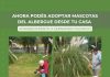 Ahora podés adoptar mascotas del albergue desde tu casa