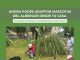 Ahora podés adoptar mascotas del albergue desde tu casa