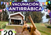 Jornada gratuita de vacunación antirrábica en Cazón